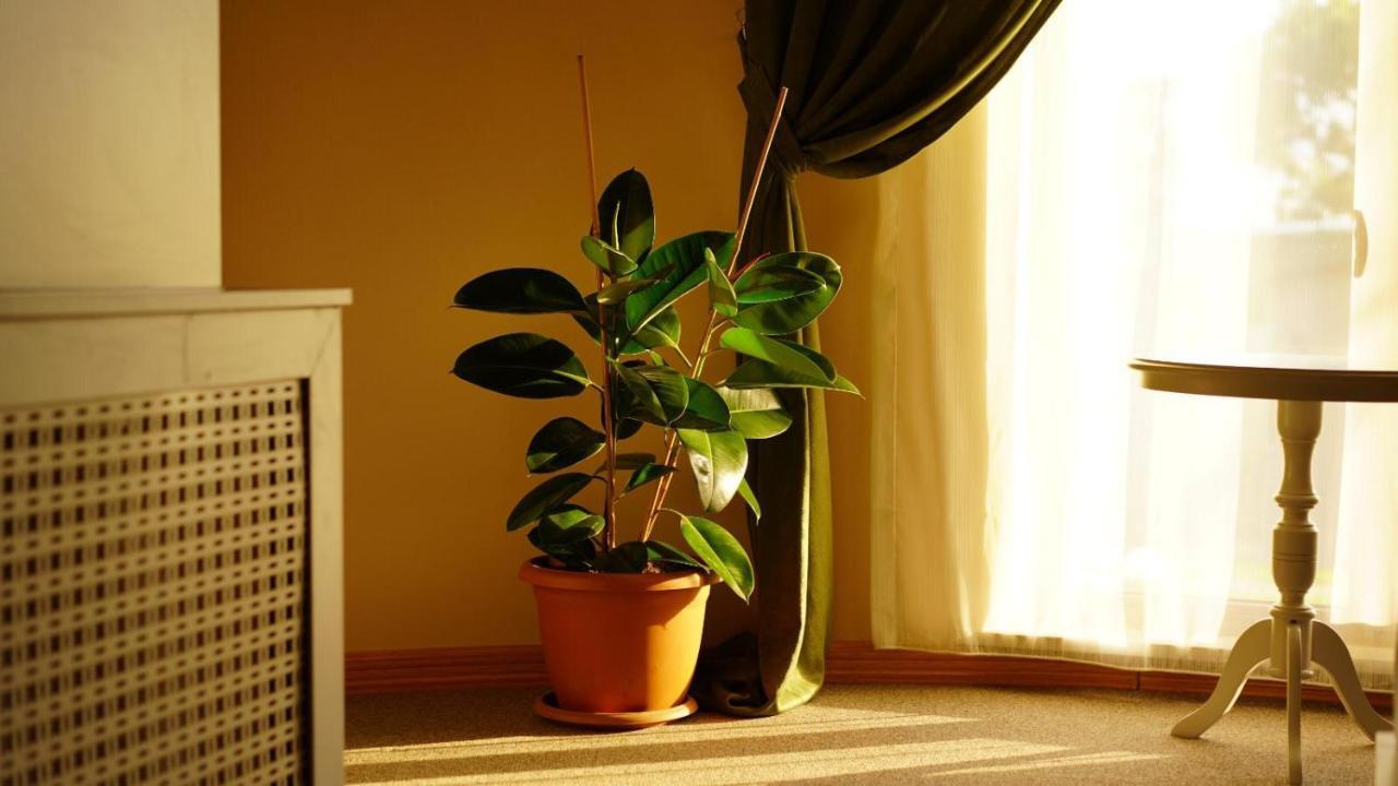 Trikos Boutique Hotel Stambuł Zewnętrze zdjęcie